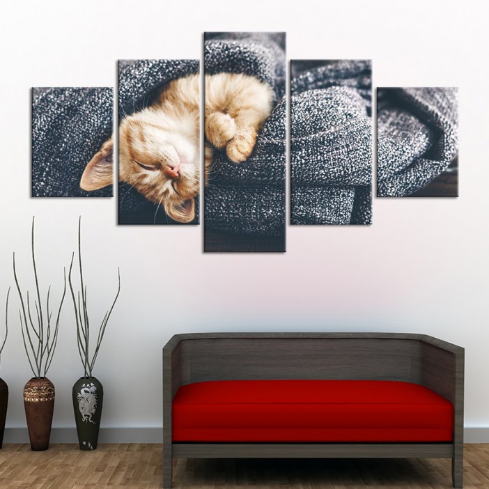 Tableau chat enroulé Tableau Chat Tableau Animaux