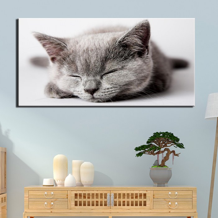 Tableau chaton qui dort Tableau Chat Tableau Animaux