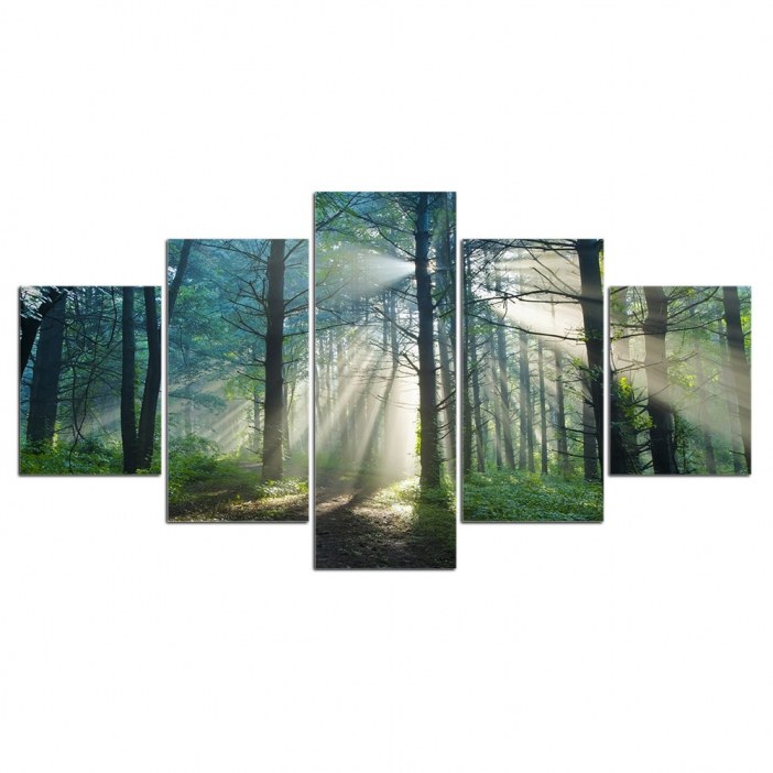 Tableau chemin lumineux en forêt Tableau Arbre Tableau Nature