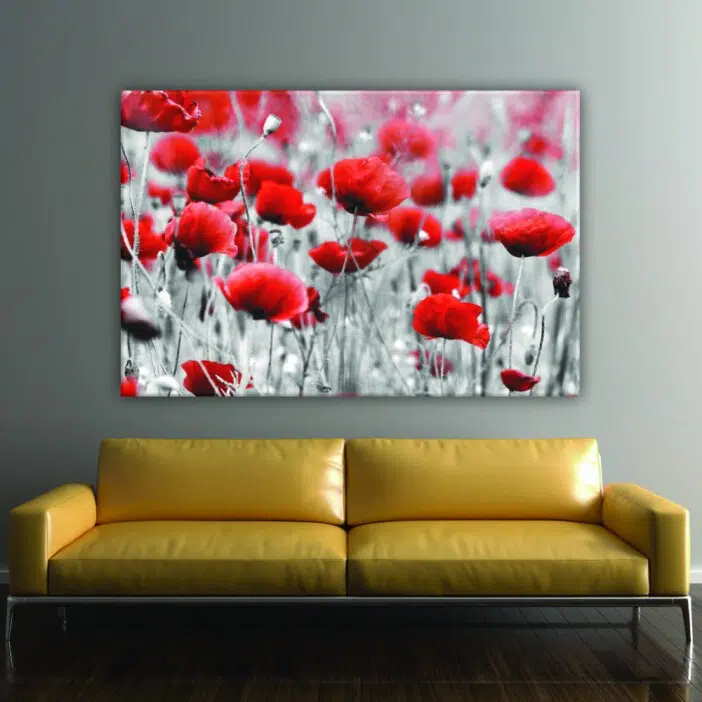 Tableau coquelicot rouge