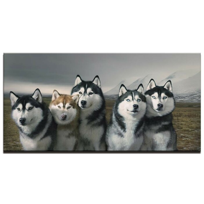Tableau brochette de Husky