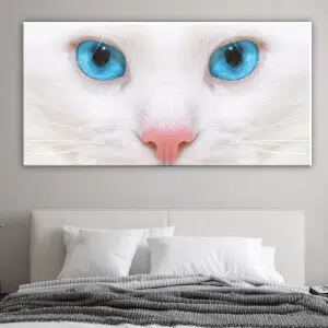 Tableau chat blanc. Bonne qualité, original, accrochée sur un mur au dessus d'un canapé dans une maison