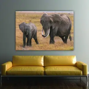 Tableau éléphant et éléphanteau. Bonne qualité, original, accrochée sur un mur au dessus d'un canapé dans un salon