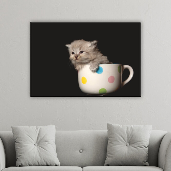 Tableau chat dans une tasse. Bonne qualité, original, accrochée sur un mur au dessus d'un canapé dans un salon