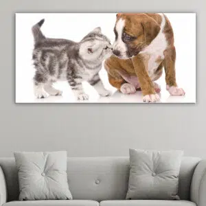 Tableau chat embrassant chien. Bonne qualité, original, accrochée sur un mur au dessus d'un canapé dans un salon