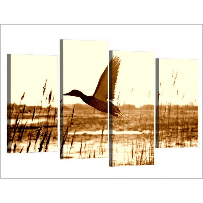 Tableau canard volant