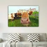 Tableau vache dans une ferme. Bonne qualité, originale, accrochée sur un mur avec un canapé dans une maison