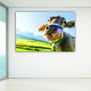 Tableau vache avec sa langue. Bonne qualité, original, accrochée sur un mur dans un salon