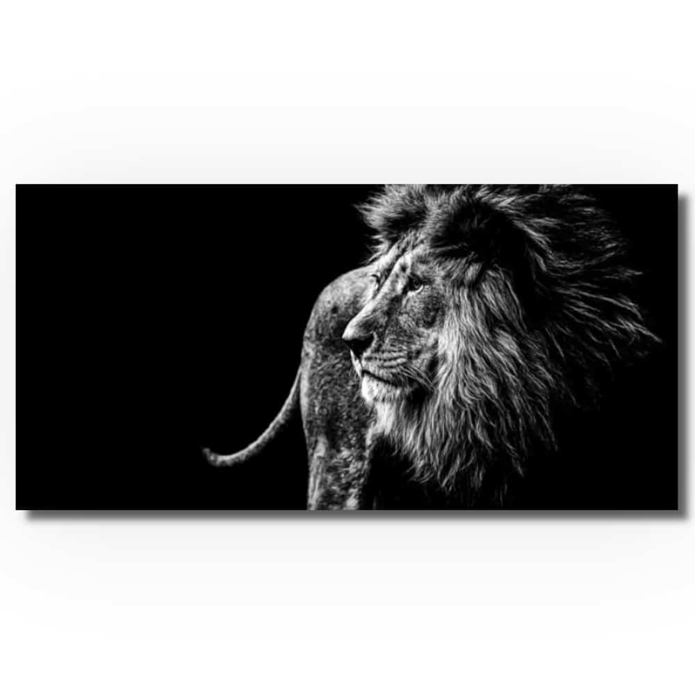 Tableau lion noir et blanc Tableau Lion Tableau Animaux taille: XXS|XS|S|M|L|XL|XXL