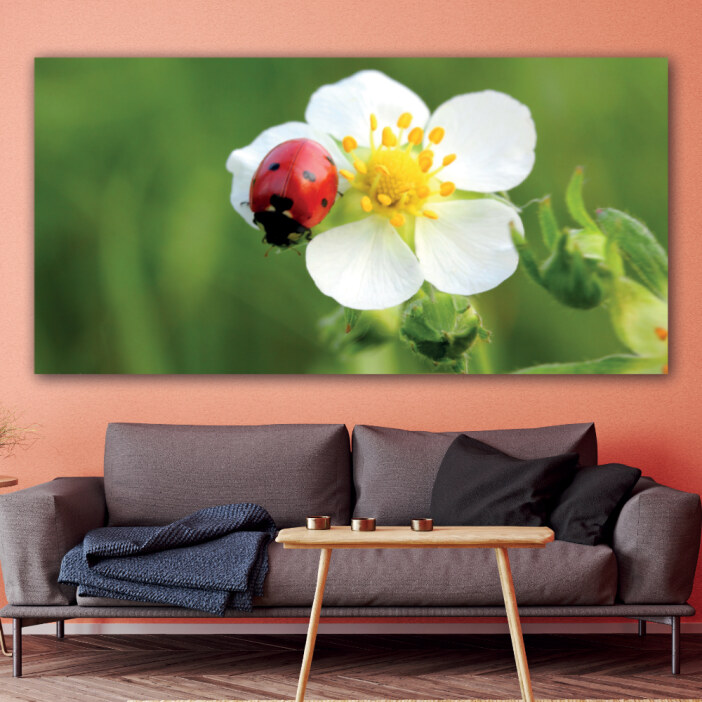 Tableau Coccinelle sur une fleur Tableau Fleur Tableau Nature