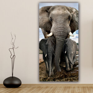 Tableau Famille d’éléphants Tableau Animaux Tableau Éléphant