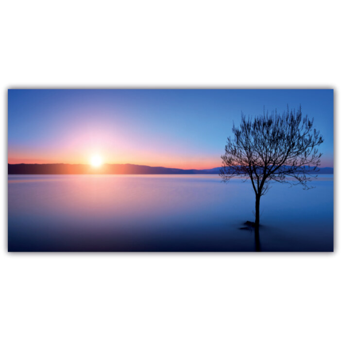 Tableau Lever de soleil bleu Tableau Nature Tableau Paysage