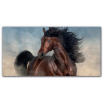 Tableau Cheval Mustang Tableau Animaux Tableau Cheval