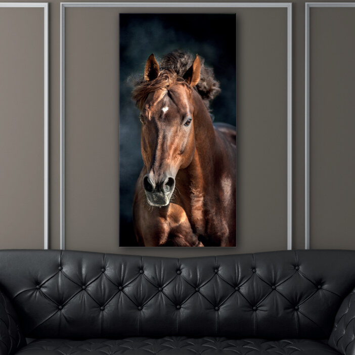 Tableau Cheval de course Tableau Animaux Tableau Cheval