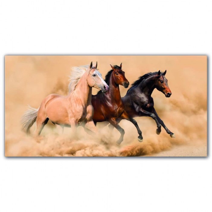 Tableau Chevaux qui courent sur le sable Tableau Animaux Tableau Cheval taille: XXS|XS|S|M|L|XL|XXL