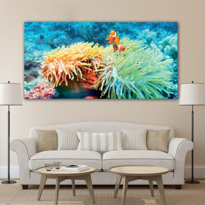 Tableau Poisson de récif dans l’anémone Tableau Animaux Tableau Mer Tableau Nature