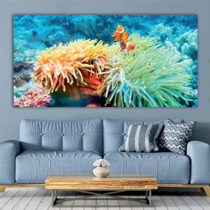 Tableau Poisson de récif dans l’anémone Tableau Animaux Tableau Mer Tableau Nature