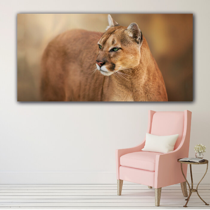 Tableau Puma aux yeux verts Tableau Animaux Tableau Lion