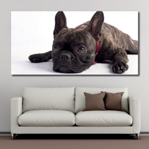 Tableau Bouledog allongé sur le sol Tableau Animaux Tableau Chien