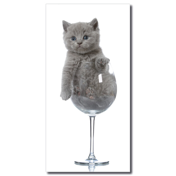Tableau Chat dans une tasse de vin Tableau Animaux Tableau Chat