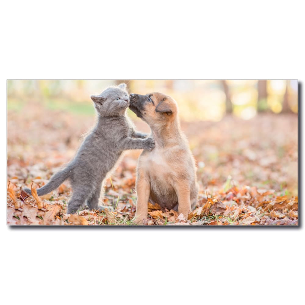 Tableau Chat et chien dans la forêt Tableau Animaux Tableau Chat Tableau Chien taille: XXS|XS|S|M|L|XL|XXL