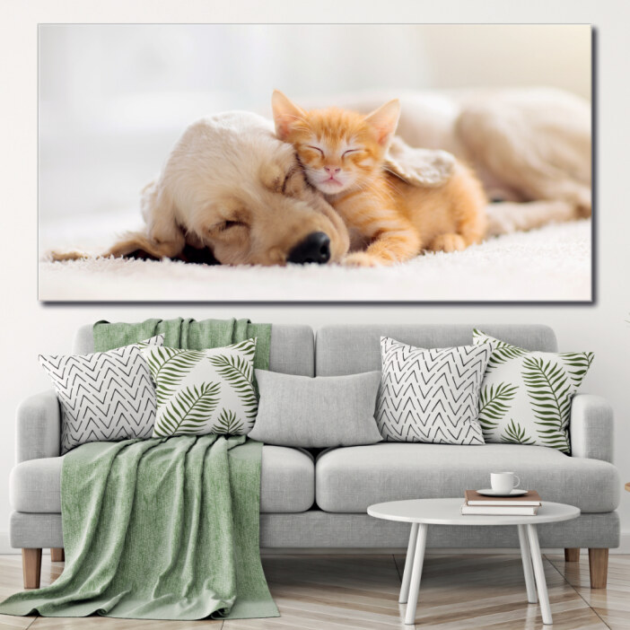 Tableau Chat et chien dormant ensemble Tableau Animaux Tableau Chat Tableau Chien