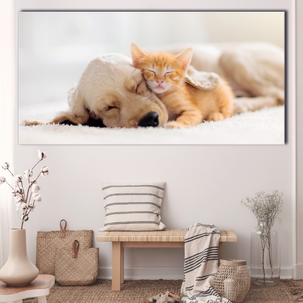 Tableau Chat et chien dormant ensemble Tableau Animaux Tableau Chat Tableau Chien taille: XXS|XS|S|M|L|XL|XXL