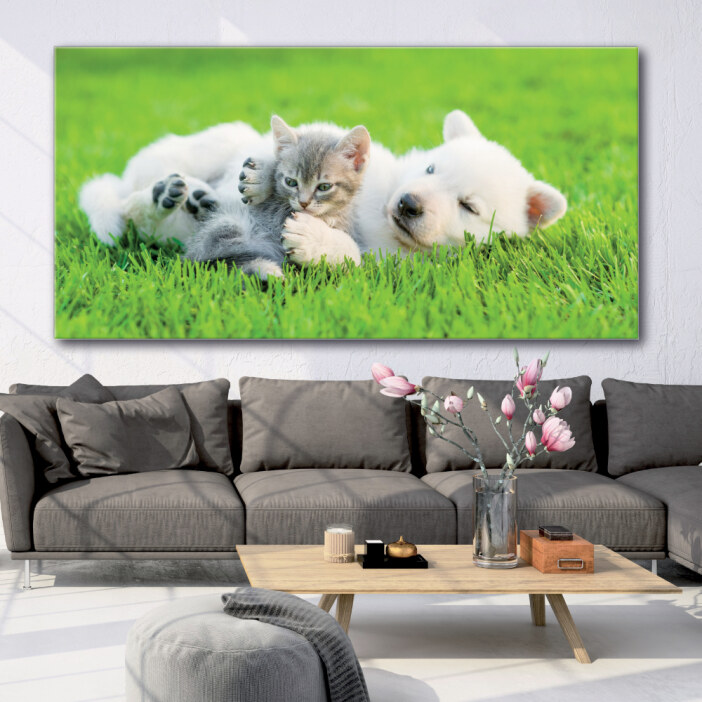 Tableau Chat et chien jouant sur l’herbe Tableau Animaux Tableau Chat Tableau Chien