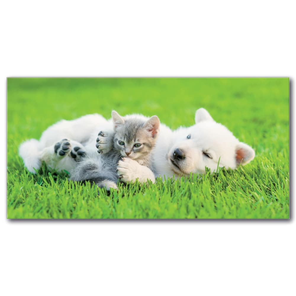 Tableau Chat et chien jouant sur l’herbe Tableau Animaux Tableau Chat Tableau Chien taille: XXS|XS|S|M|L|XL|XXL