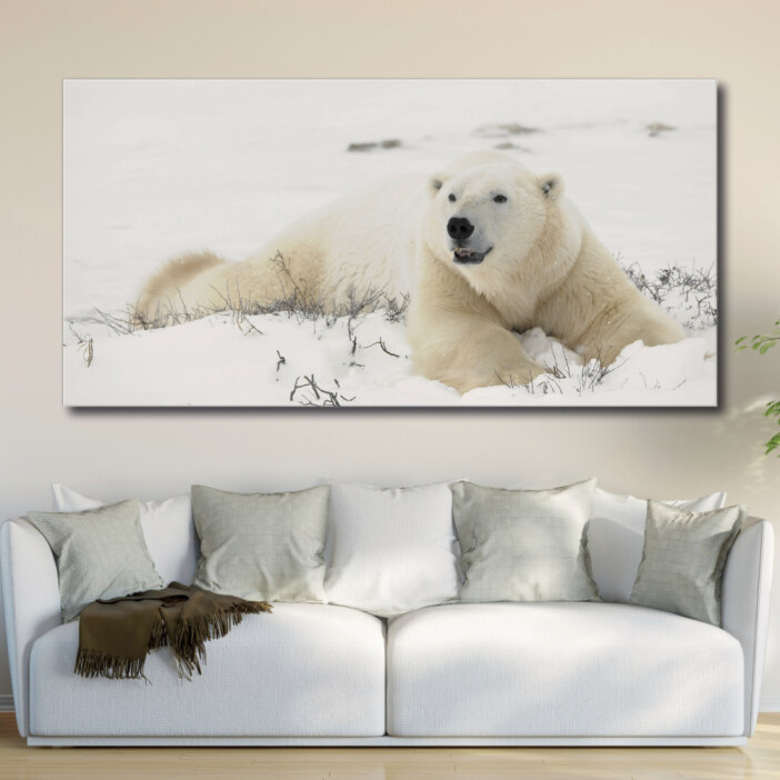 Tableau Ours polaire allongé sur la neige Tableau Animaux Tableau Ours