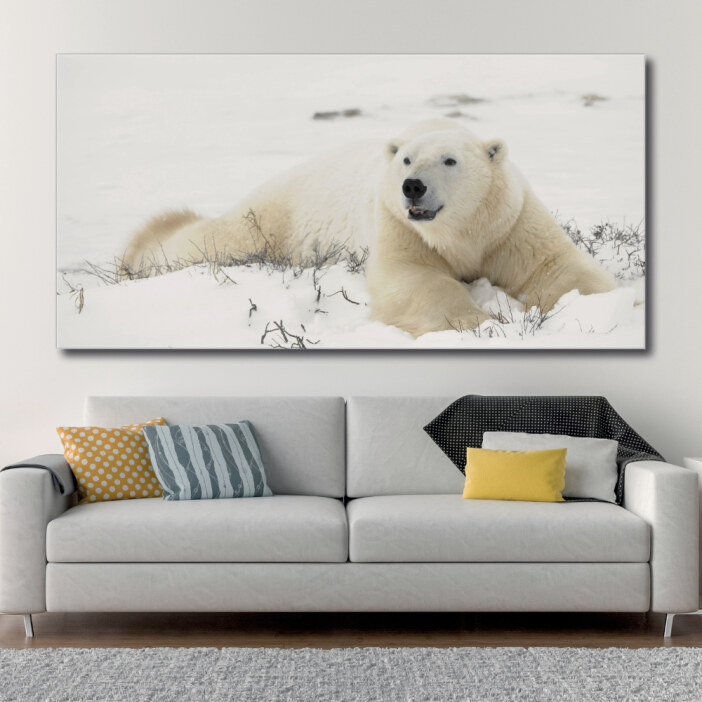 Tableau Ours polaire allongé sur la neige Tableau Animaux Tableau Ours
