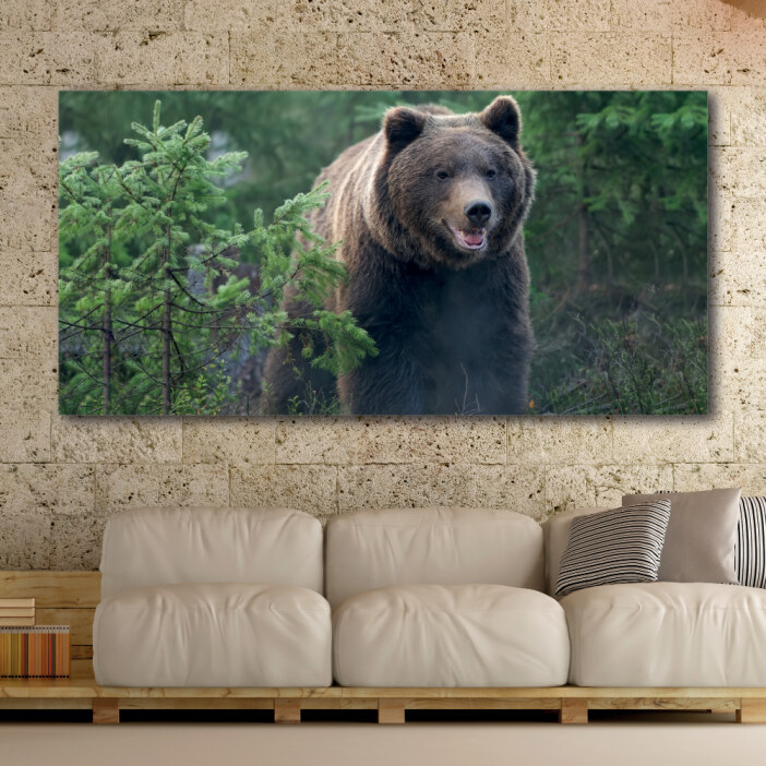Tableau Ours puissant Tableau Animaux Tableau Ours