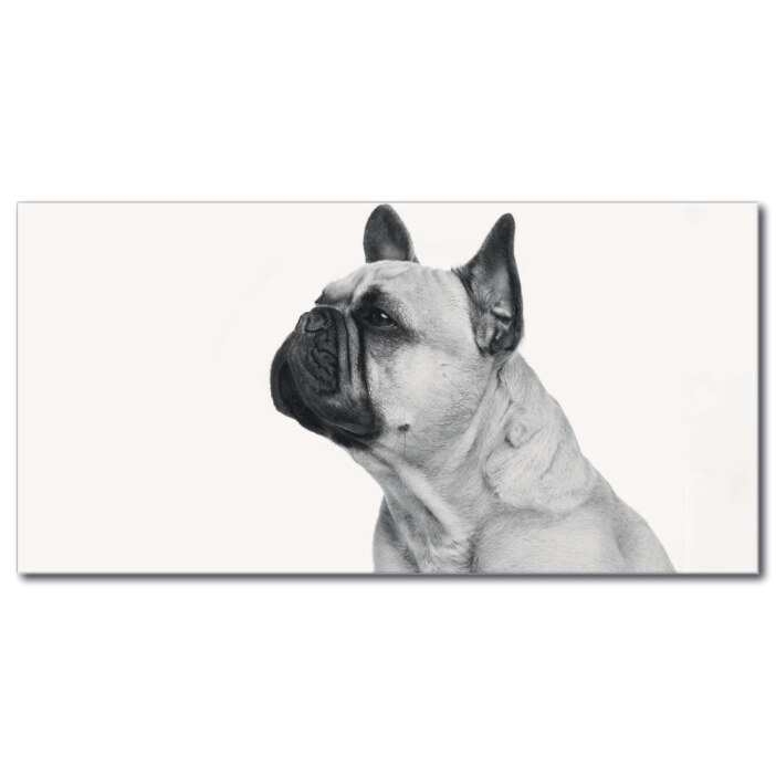 Tableau Profil de bouledogue français noir et blanc Tableau Animaux Tableau Chien
