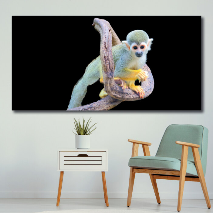 Tableau Singe écureuil Tableau Animaux Tableau Singe