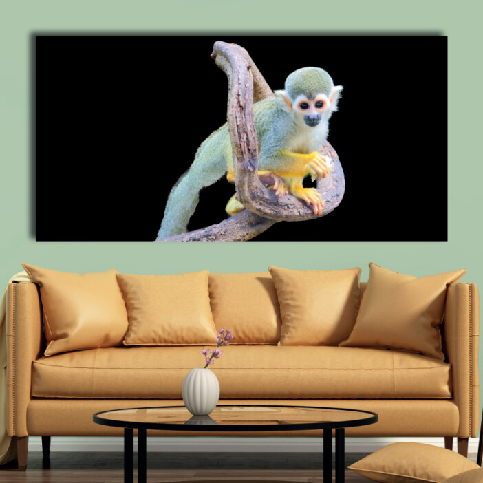 Tableau Singe écureuil Tableau Animaux Tableau Singe