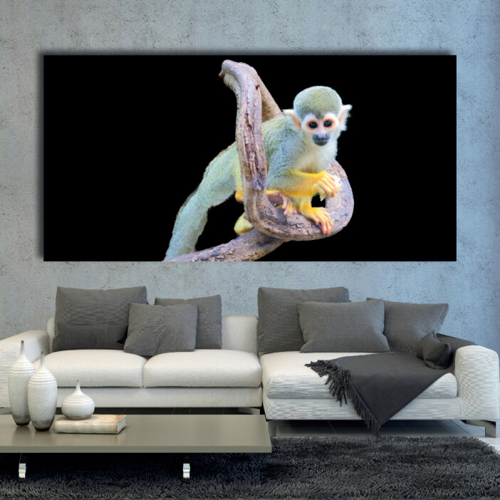 Tableau Singe écureuil Tableau Animaux Tableau Singe