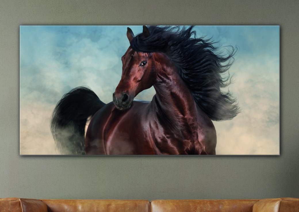 Tableau cheval mustang Tabloide