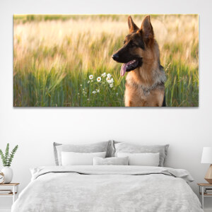 Tableau berger allemand dans un champ accroché au mur blanc d'une chambre avec un lit à parure grise en dessous.
