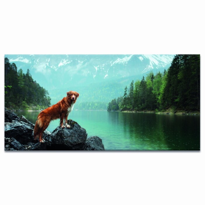 Tableau Retriever de Nouvelle Ecosse à la rivière