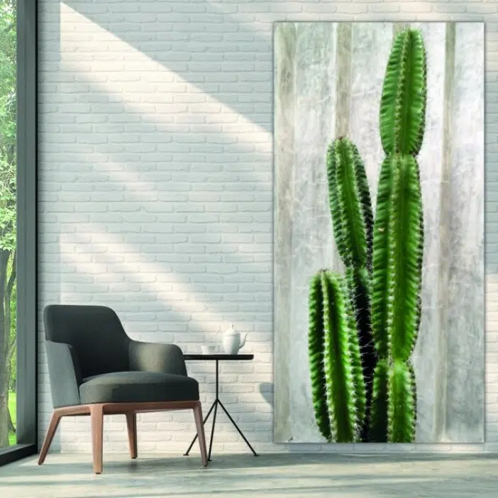Tableau Cactus vert. Bonne qualité, original, accrochée sur un mur à côté d'un canapé dans un salon