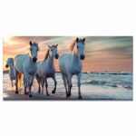 Tableau quatre chevaux blancs sur la plage Tableau Animaux Tableau Cheval