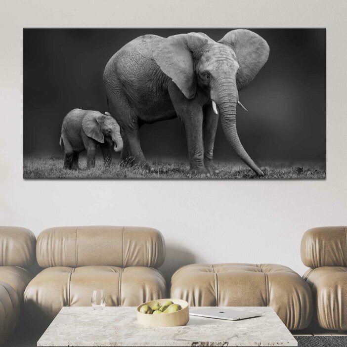 Tableau éléphant et son fils en noir et blanc