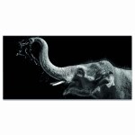Tableau éléphant jouant avec de l'eau