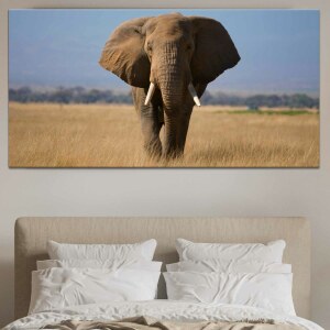 Tableau Magnifique éléphant dans la savane