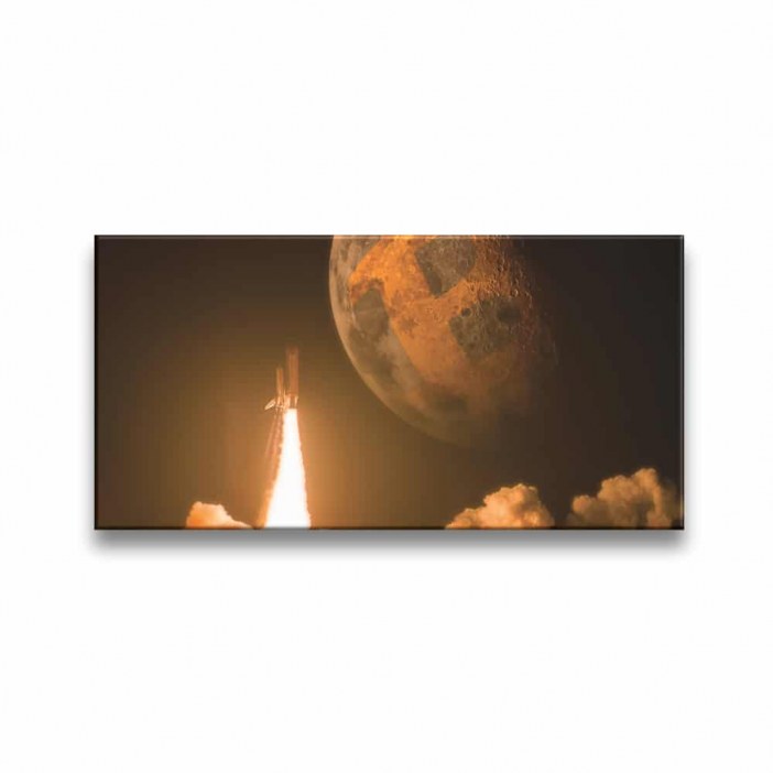 Tableau Bitcoin to the moon Tableau Cryptomonnaie Tableaux originaux taille: XXS|XS|S|M|L|XL|XXL