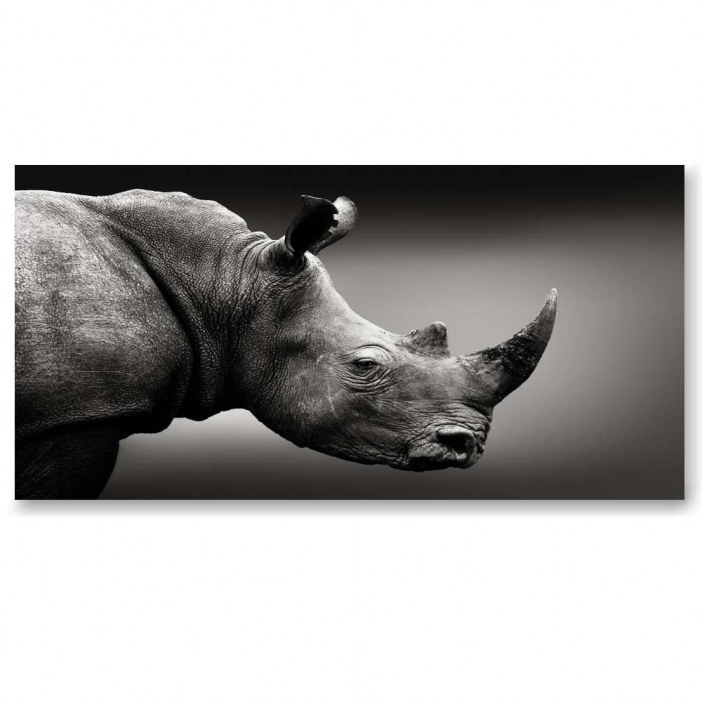 Tableau rhinocéros noir et blanc Tableau Animaux taille: XXS|XS|S|M|L|XL|XXL
