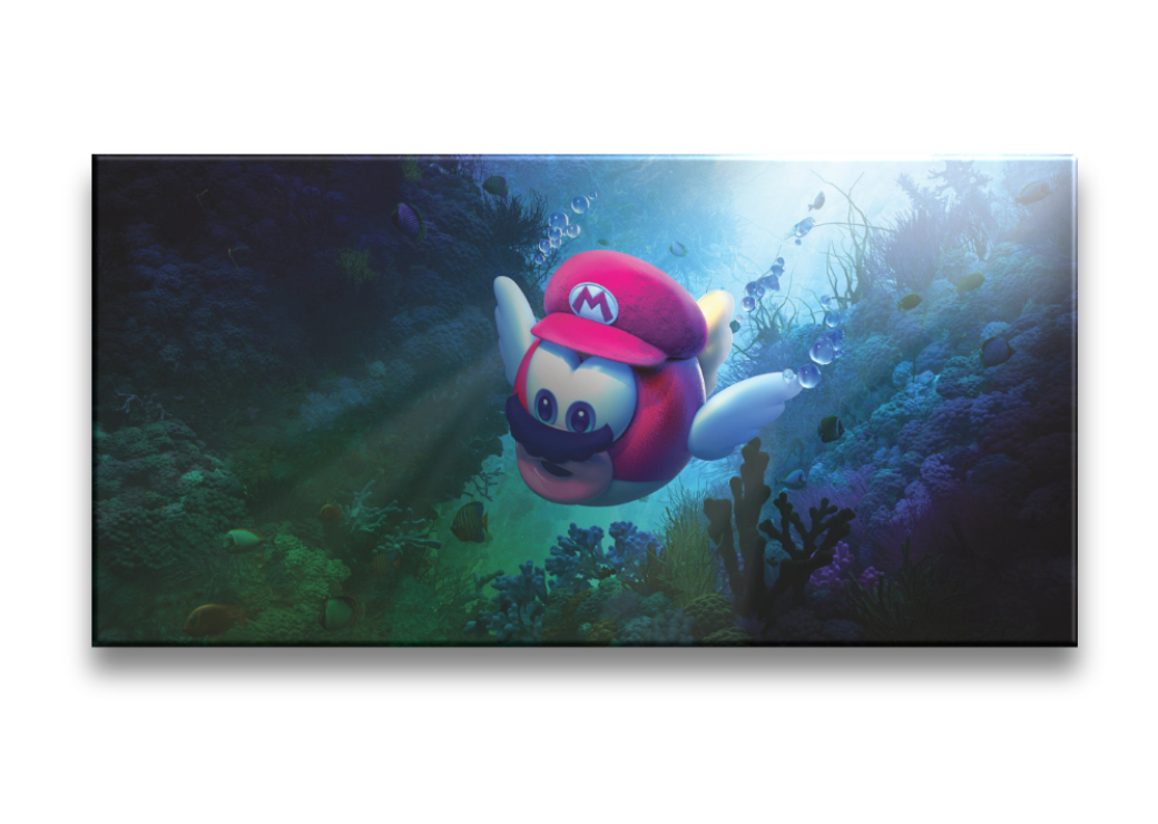 Tableau Super Mario poisson Tableaux originaux Tableau Geek Tableau Super Mario taille: XXS|XS|S|M|L|XL|XXL