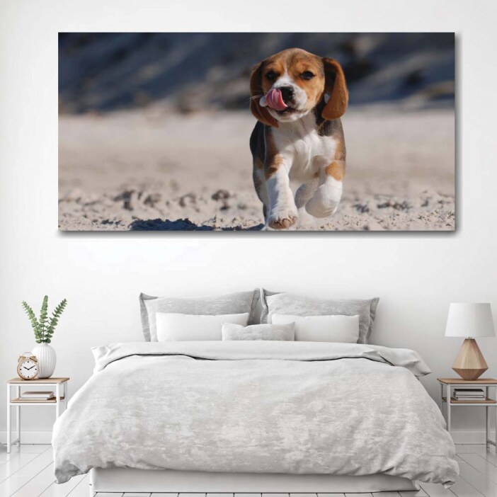Tableau chiot Beagle