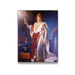 Tableau Napoleon avec la couverture de l’empereur Tableau Napoleon taille: XS|S|M|L|XL|XXL
