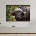 Tableau d'un portrait de buffalo.Bonne qualité, original, accrochée sur un canapé dans un salon